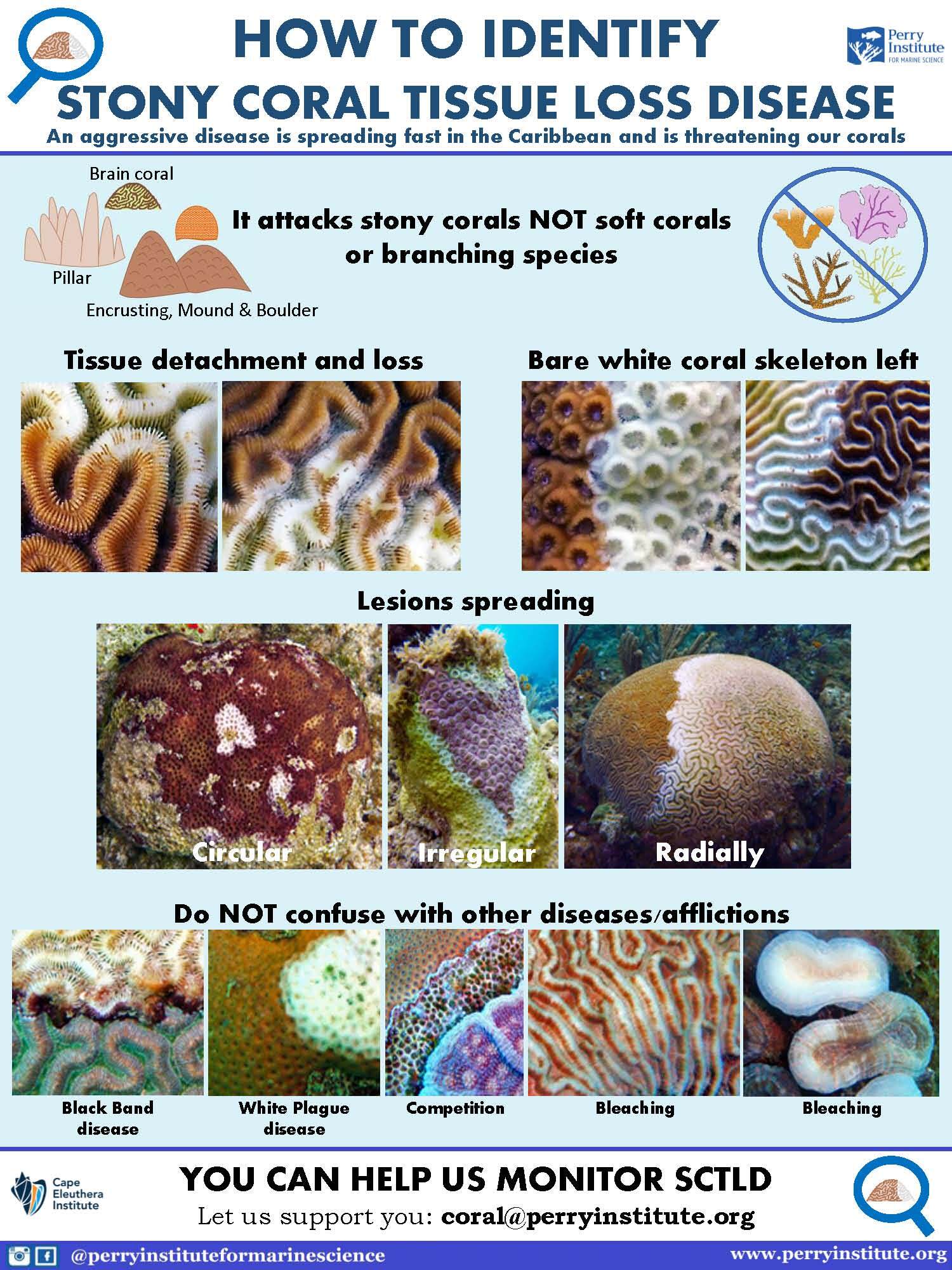 Stony Coral Tissue Loss Disease